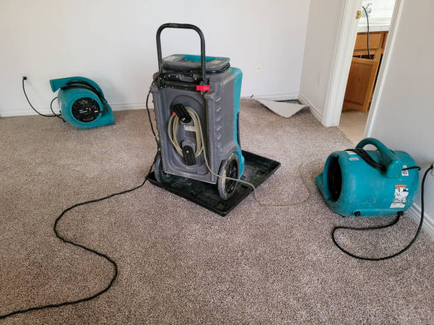 Best Carpet water damage restoration  in Sebree, KY