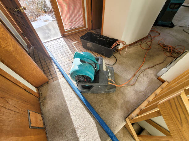 Best Sewage cleanup and water damage restoration  in Sebree, KY
