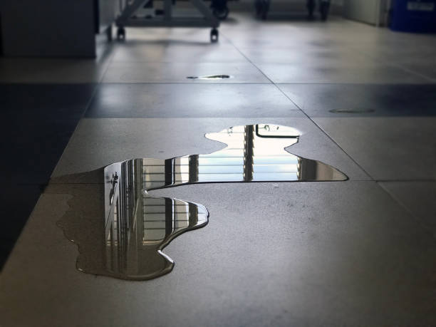 Best Commercial water damage restoration  in Sebree, KY