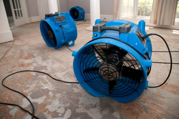 Best Local water damage restoration  in Sebree, KY