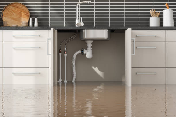 Best Mold removal after water damage  in Sebree, KY